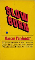 Télécharger le livre :  Slow Burn