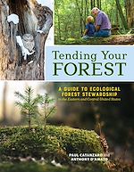 Download this eBook Tending Your Forest