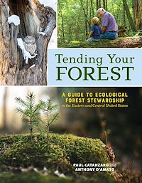 Download this ebook Tending Your Forest