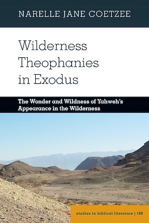 Download the eBook: Wilderness Theophanies in Exodus