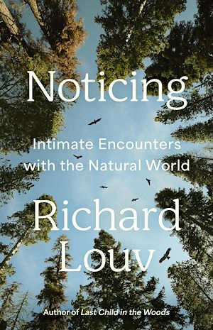 Download the eBook: Noticing