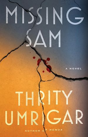 Download the eBook: Missing Sam