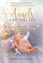 Télécharger le livre :  Angels Among Us