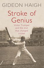 Télécharger le livre :  Stroke of Genius