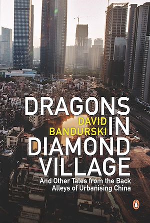 Download the eBook: Dragons in Diamond Village