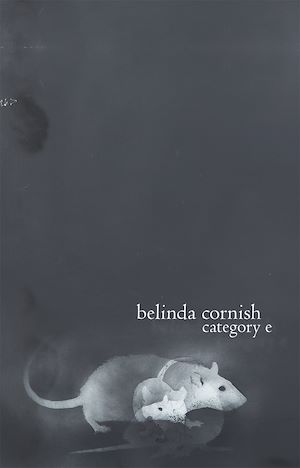 Download the eBook: Category E