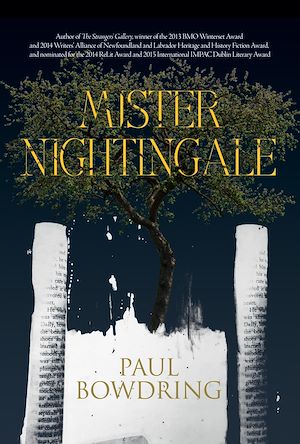 Download the eBook: Mister Nightingale