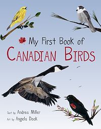 Téléchargez le livre :  My First Book of Canadian Birds