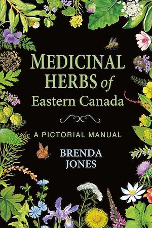 Download the eBook: Medicinal Herbs of Eastern Canada
