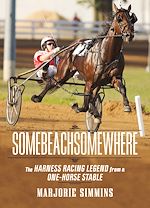 Download this eBook Somebeachsomewhere