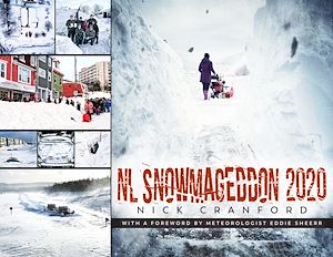 Download the eBook: NL Snowmageddon 2020