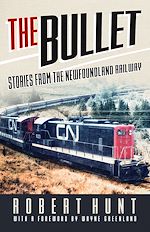 Download this eBook The Bullet