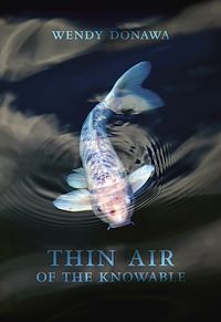 Téléchargez le livre :  Thin Air of the Knowable