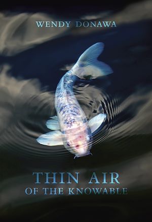 Download the eBook: Thin Air of the Knowable