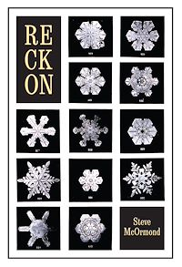 Téléchargez le livre :  Reckon