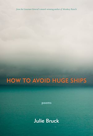 Download the eBook: How to Avoid Huge Ships