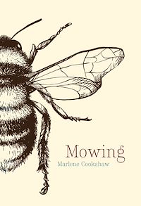 Téléchargez le livre :  Mowing