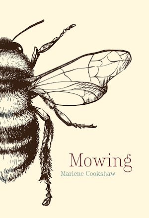 Download the eBook: Mowing