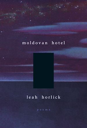 Download the eBook: Moldovan Hotel