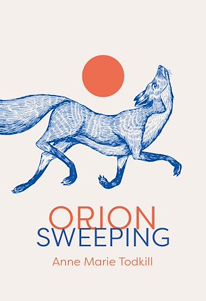 Download the eBook: Orion Sweeping
