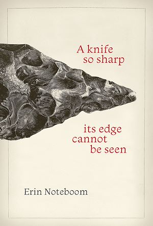 Download the eBook: A knife so sharp its edge cannot be seen