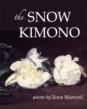 Download the eBook: The Snow Kimono