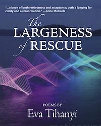 Téléchargez le livre :  The Largeness of Rescue