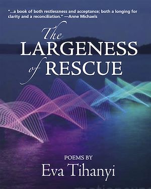 Download the eBook: The Largeness of Rescue