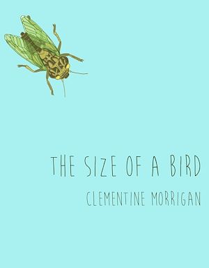 Download the eBook: The Size of a Bird