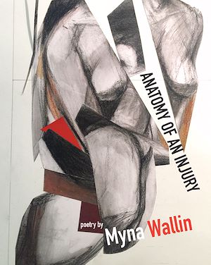 Download the eBook: Anatomy of an Injury