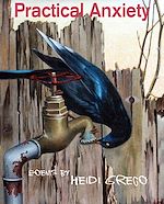 Download this eBook Practical Anxiety