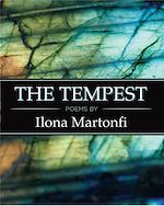 Download this eBook The Tempest