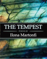 Téléchargez le livre :  The Tempest