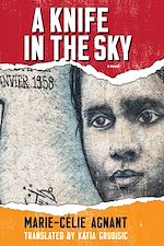 Download this eBook A Knife in the Sky