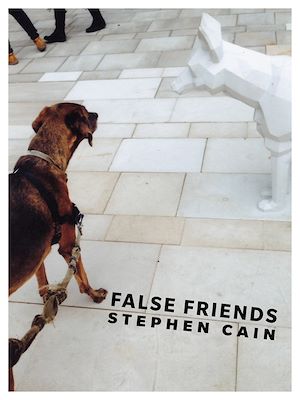 Download the eBook: False Friends