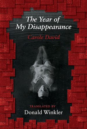 Download the eBook: The Year of My Disappearance
