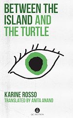 Télécharger le livre :  Between the Island and the Turtle