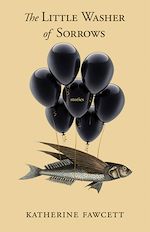 Download this eBook The Little Washer of Sorrows