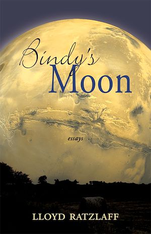Download the eBook: Bindy's Moon