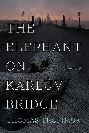 Téléchargez le livre :  The Elephant on Karluv Bridge