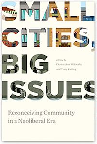 Téléchargez le livre :  Small Cities, Big Issues