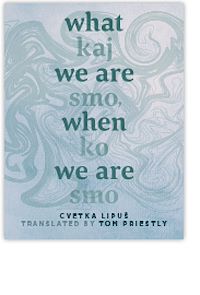 Téléchargez le livre :  What We Are When We Are