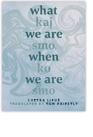 Téléchargez le livre :  What We Are When We Are