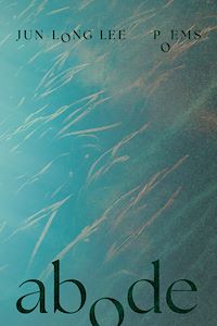 Téléchargez le livre :  Abode