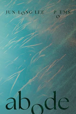 Download the eBook: Abode