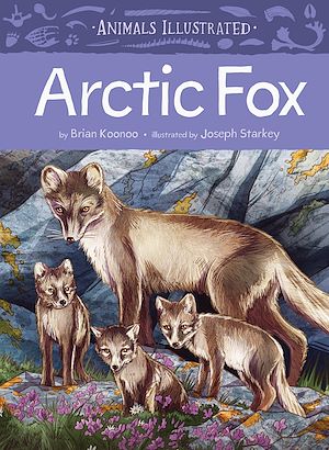 Téléchargez le livre :  Animals Illustrated: Arctic Fox