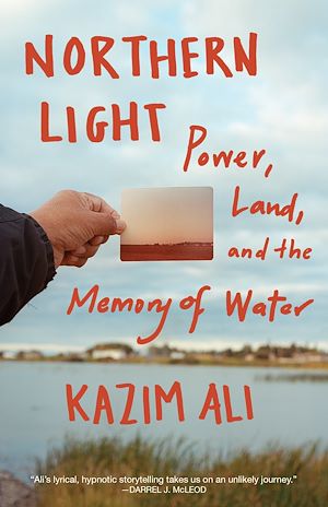 Download the eBook: Northern Light