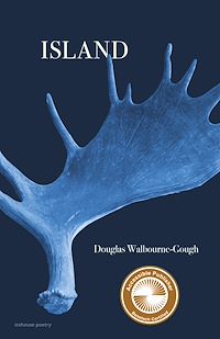 Téléchargez le livre :  Island