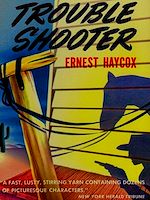 Télécharger le livre :  Trouble Shooter