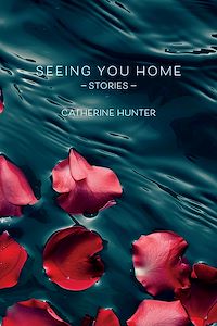 Téléchargez le livre :  Seeing You Home